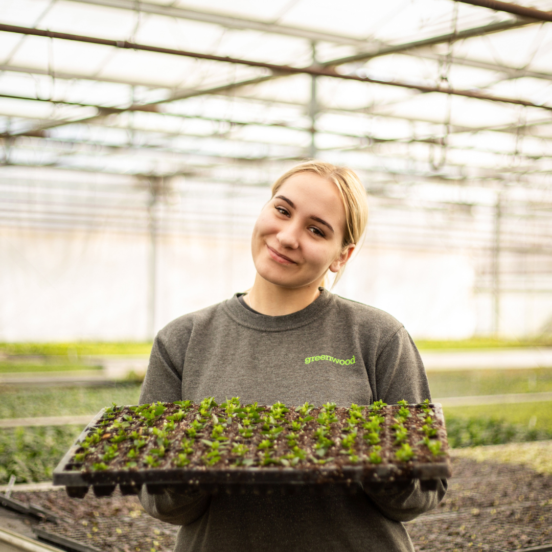 How Greenwood Plants are leading the way to a peat-free future