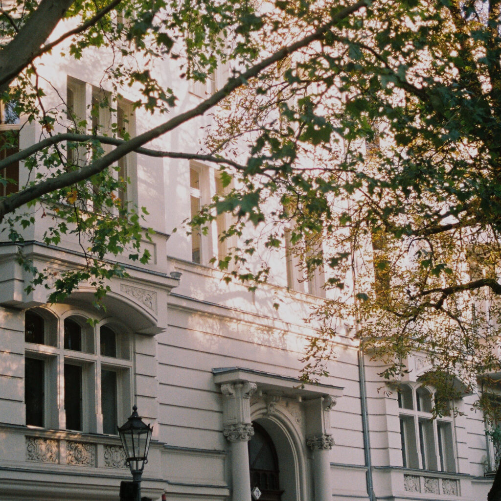 Building and trees