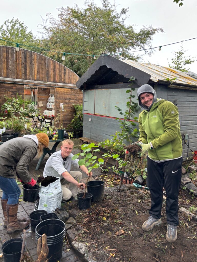 Exercising our corporate social responsbility by carrying out some gardening activities at Hulme Community Garden Centre