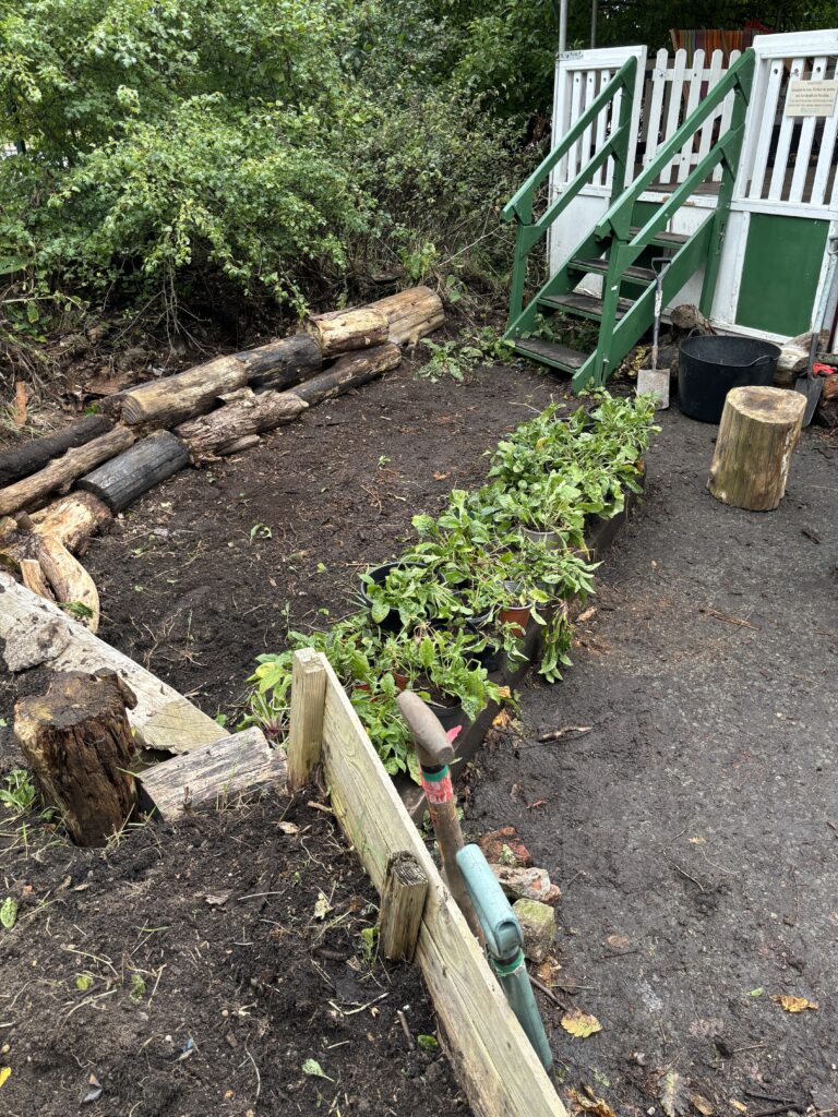 The finished look of Hulme Community Garden Centre's new raised bed and border support by the Positive Planet Team