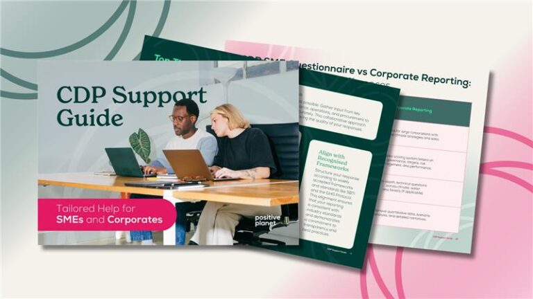 Your CDP Support Guide | Positive Planet