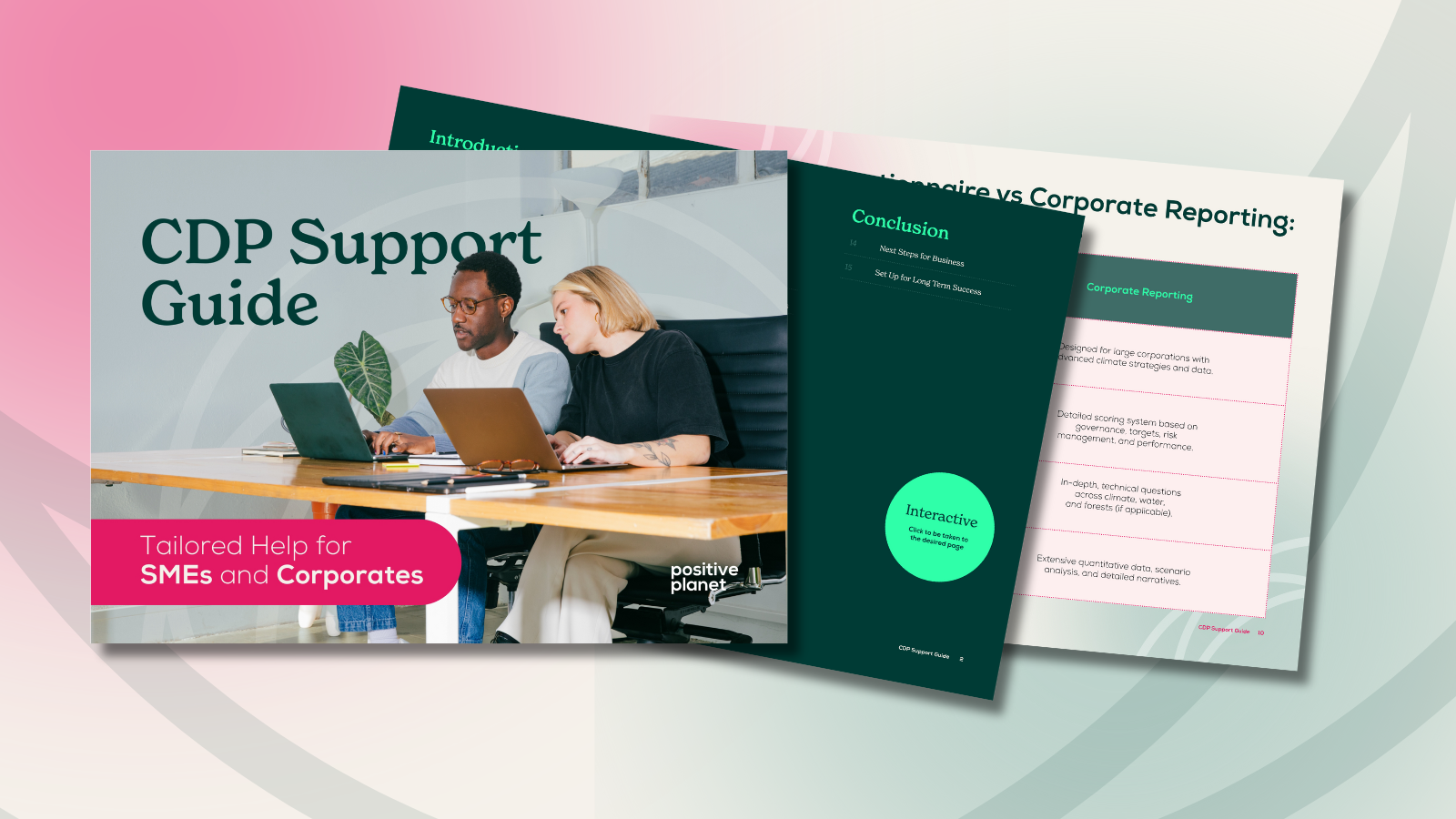 CDP Support Guide