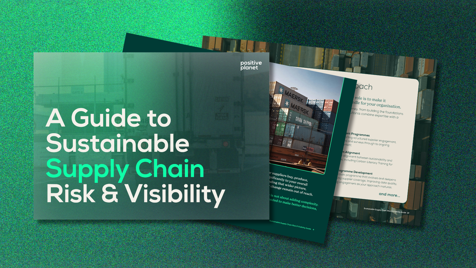 Supply Chain Risk & Visibility Guide