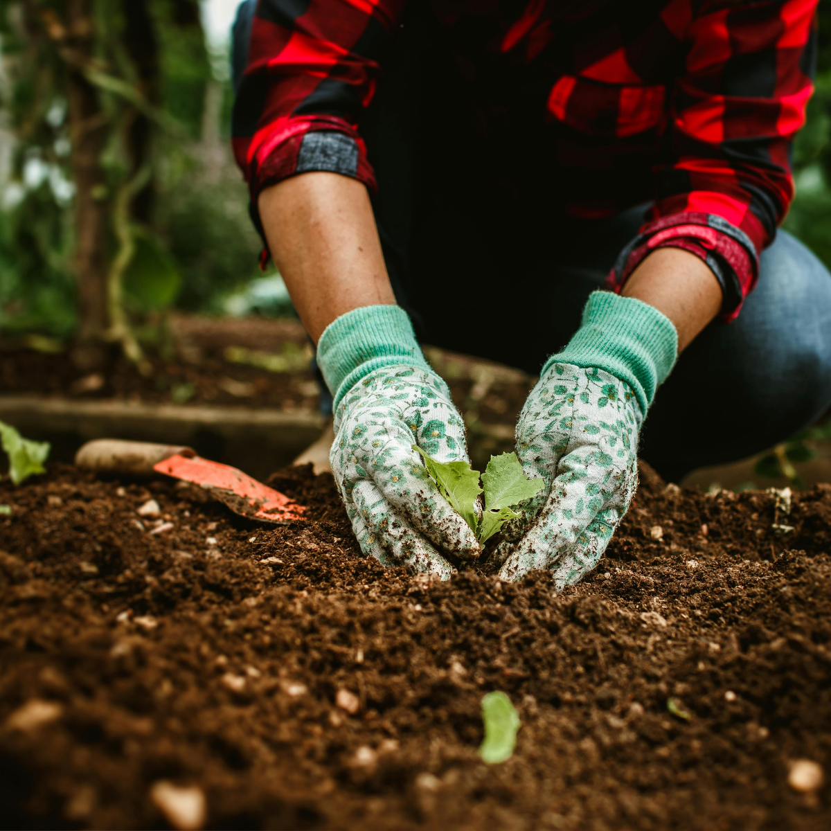 5 Things to Get the Planet Moving the Right Way