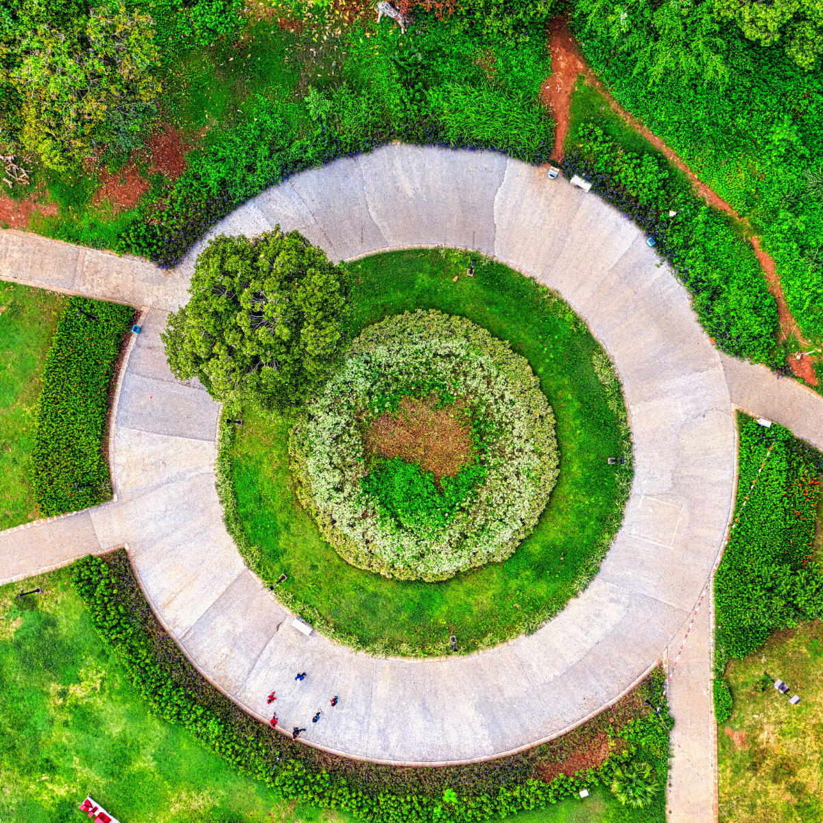 EU Circular Economy Action Plan and ESPR: What Businesses Need to Know