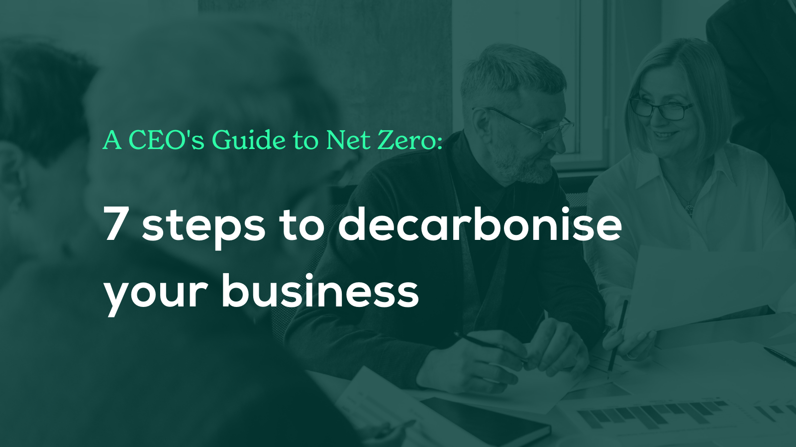 A CEO’s Guide to Net Zero: 7 steps to decarbonise your business