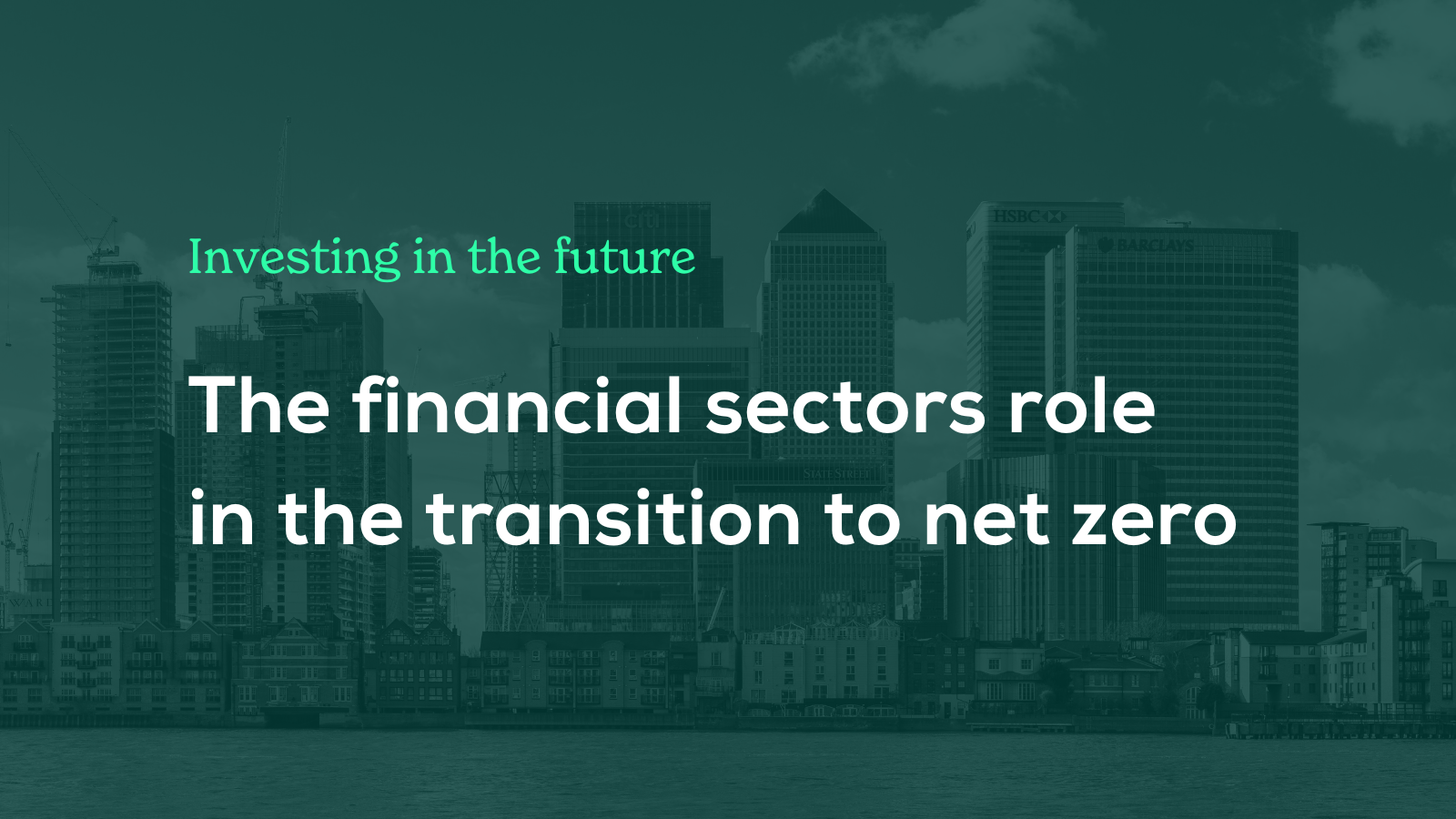 Investing in the future: The financial sectors role in the transition to net zero