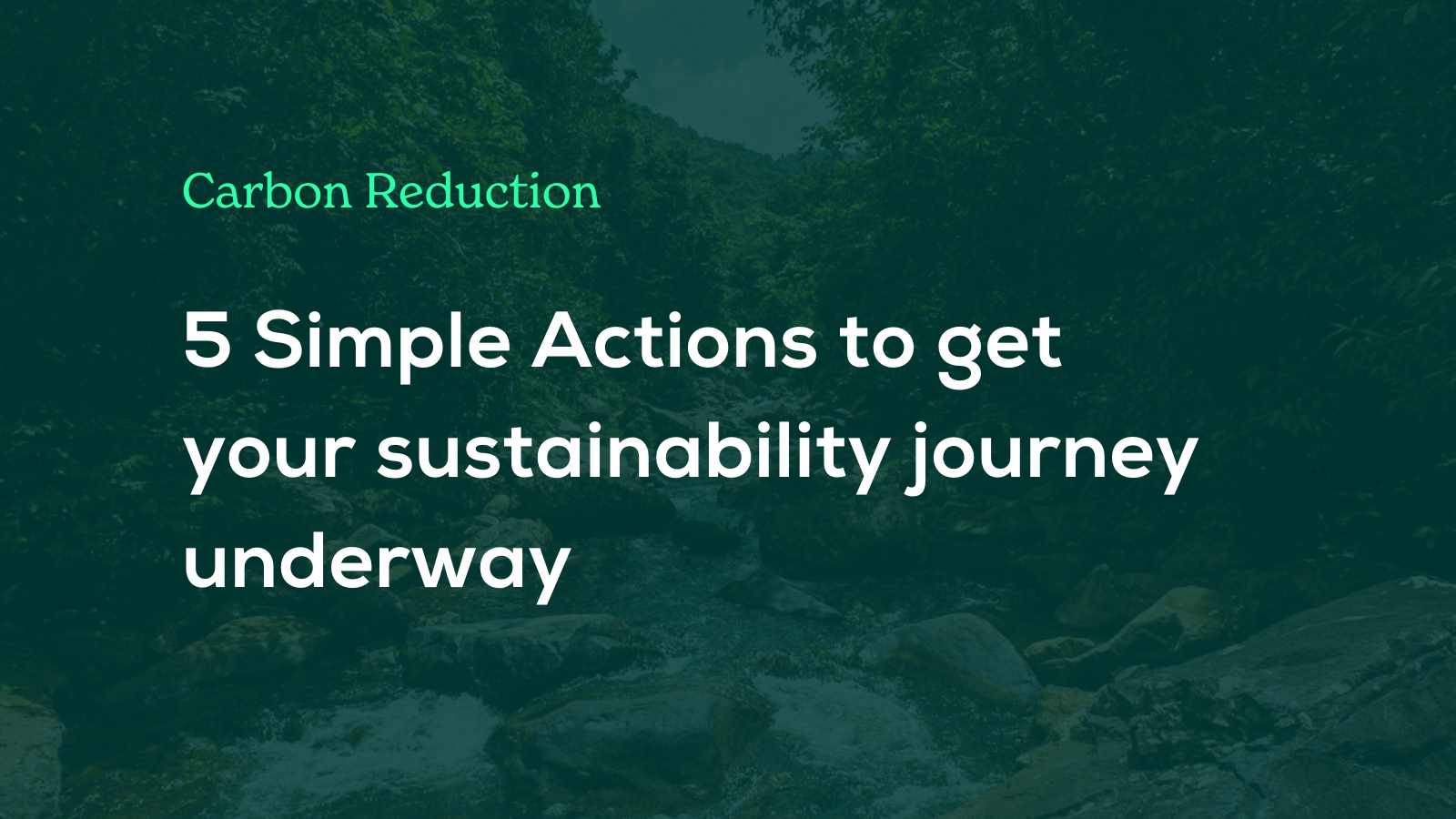 Carbon Reduction: 5 Simple Actions You Can Take This Week
